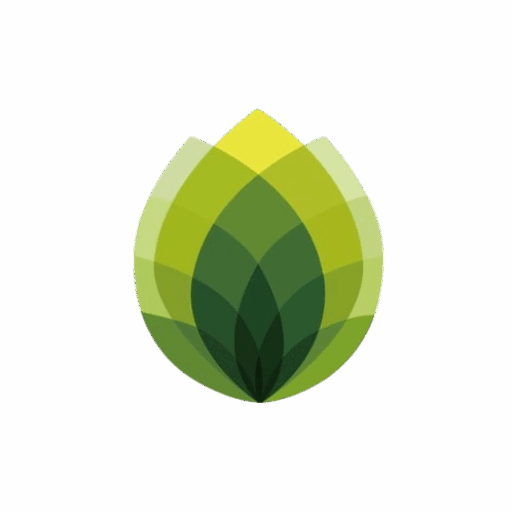 Cropped 46a86b63 0cca 4164 b395 343ea2c40082 removebg preview.png